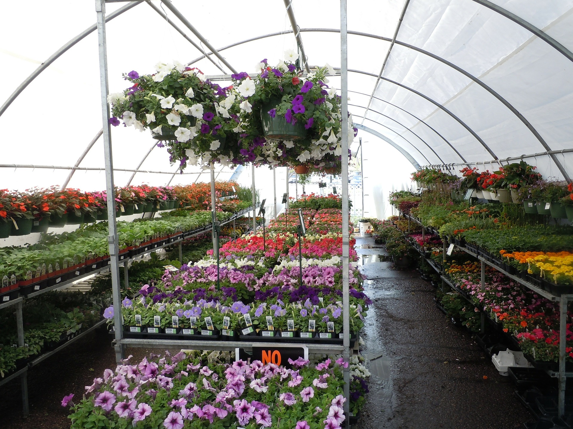 vivero priv
